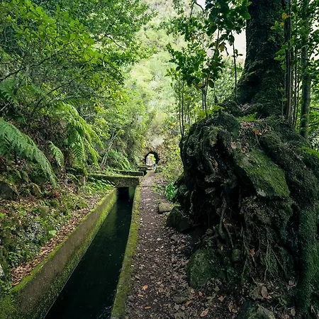 Ourmadeira - * Prazeres