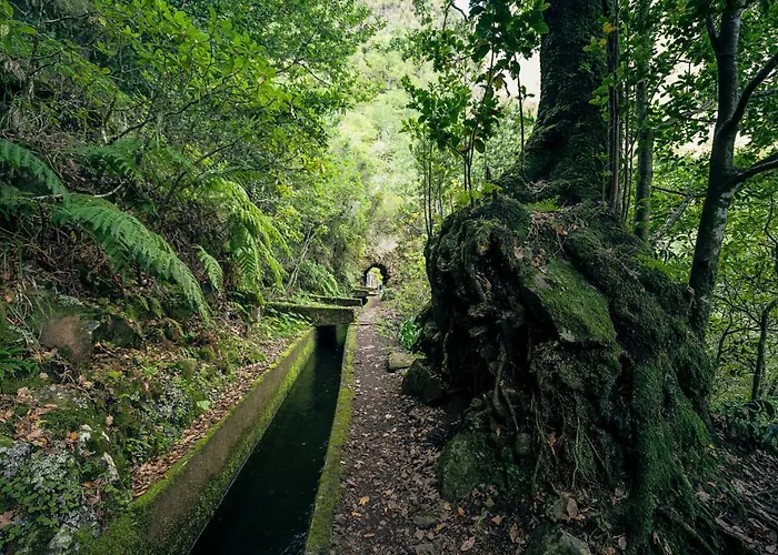 Ourmadeira - * Prazeres